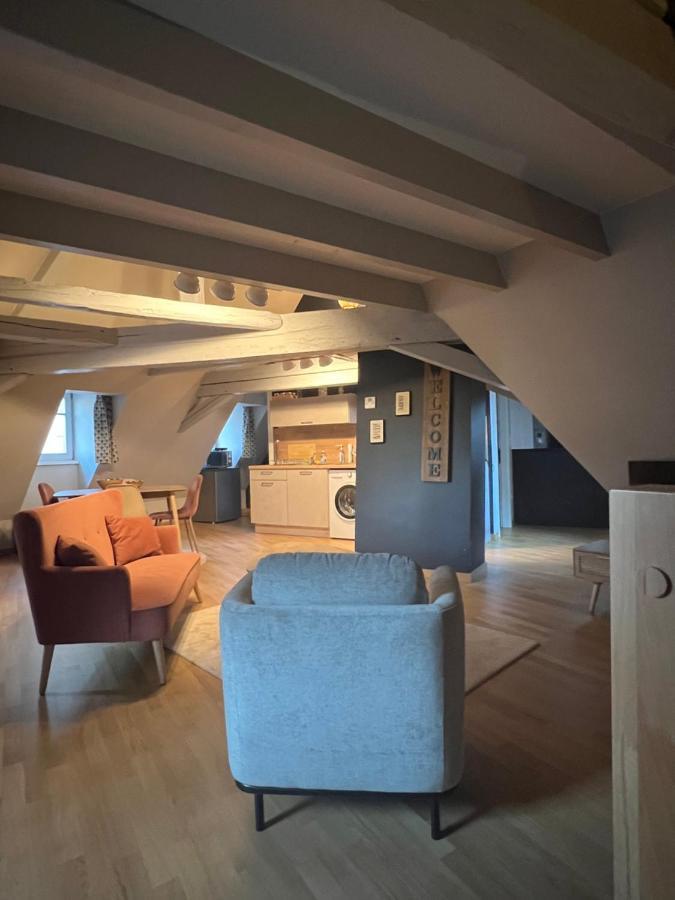 Апартаменти Duplex Atypique Au Coeur De Мюлуз Екстер'єр фото